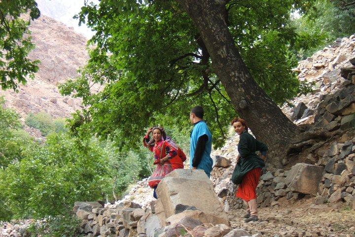 Day tour in high Atlas mountains