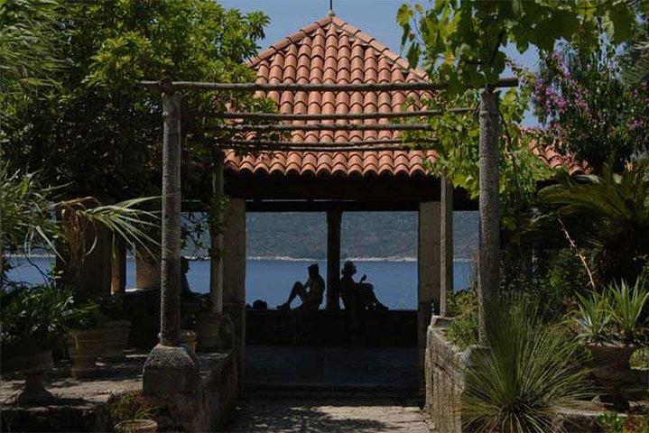 Panorama Dubrovnik & Arboretum Trsteno TOUR PRIVATO