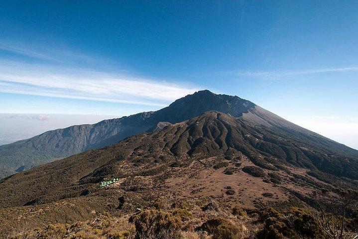 Excursion d'une journée dans le parc national d'Arusha, au départ d'Arusha