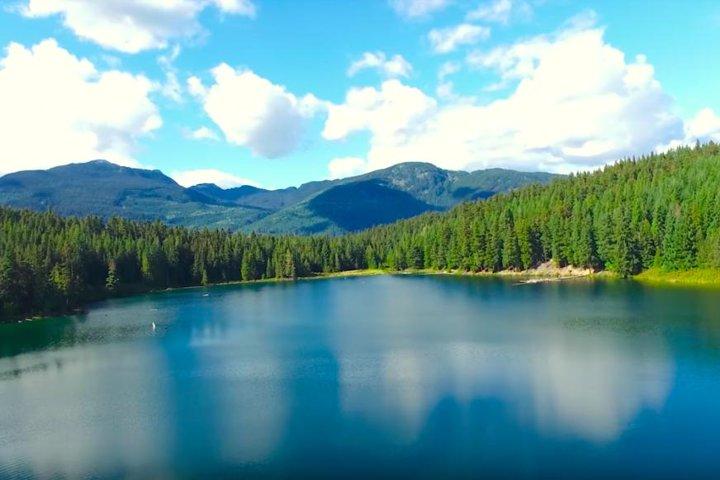 Whistler sightseeingtur fra Vancouver: Se Horseshoe Bay og Shannon Falls