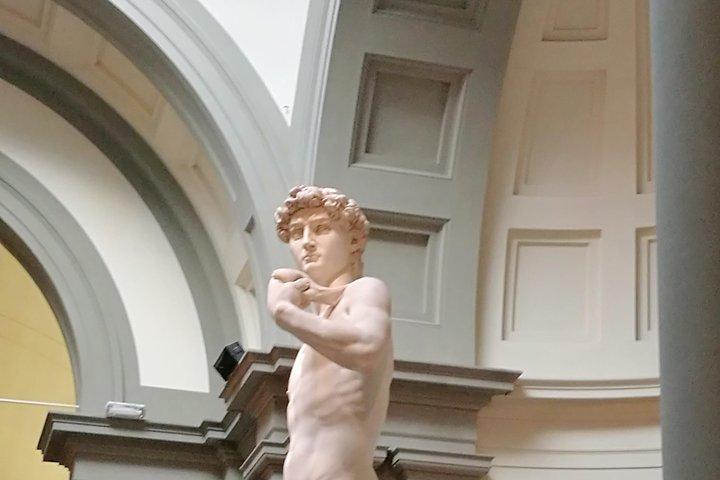 Florence: Accademia Gallery-tour van 1 uur met toegangskaarten