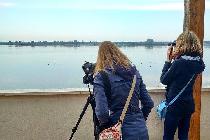 Nationaal park Donana en El Rocío: privétour vanuit Sevilla