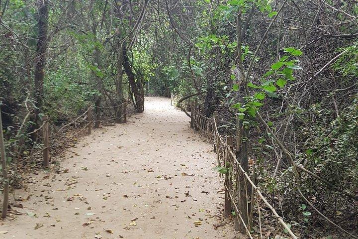 Caminhada e snorkel no Parque Nacional HT
