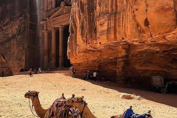 Petra Day Tour da Amman