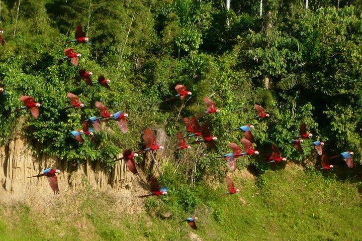 3 Tage - Posada Amazonas Classic Programm Gruppenreise