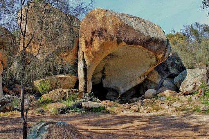 Wave Rock & Rottnest Island - Tour aereo e terrestre