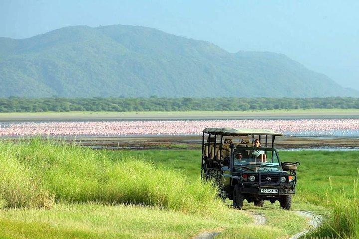 Tanzania 4 dagar 3 nätter Budget camping safari till Serengeti och Ngorongoro
