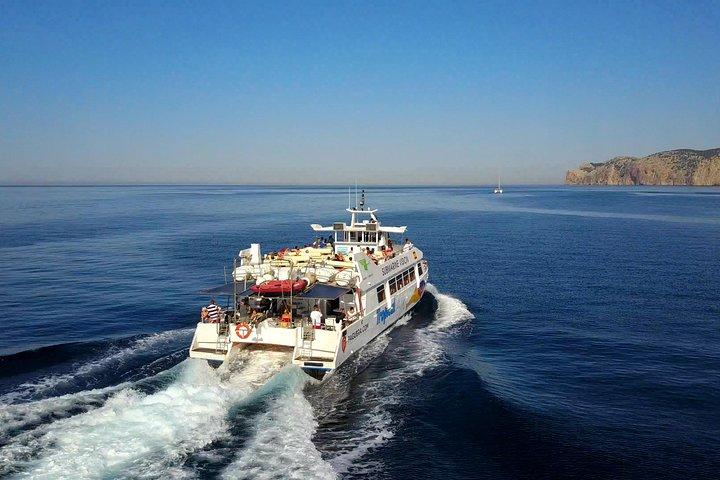 Esperienza di osservazione dei delfini nella costa sud-occidentale di Maiorca