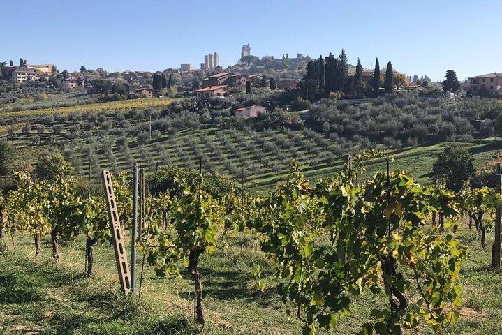 Excursion à Volterra et San Gimignano au départ de Florence