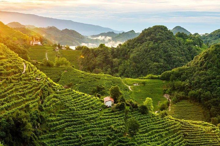 Excursão Premium Prosecco Hills Winery com degustações de Prosecco e comida