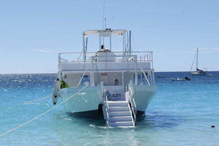 Aventura de mergulho com tartaruga e naufrágio em Barbados