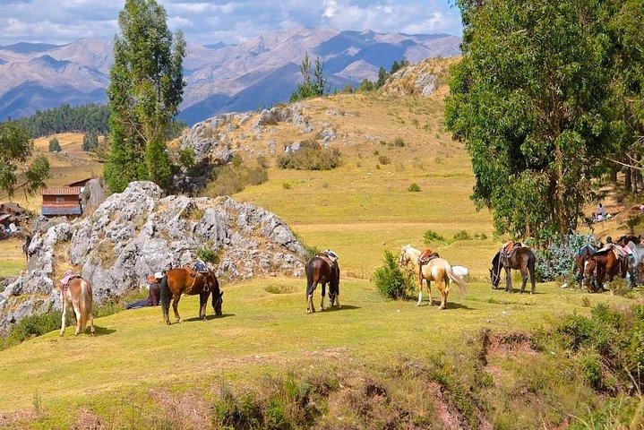 Half Day - Horseback Riding (Cusco’s 4 Ruins) – Group Service