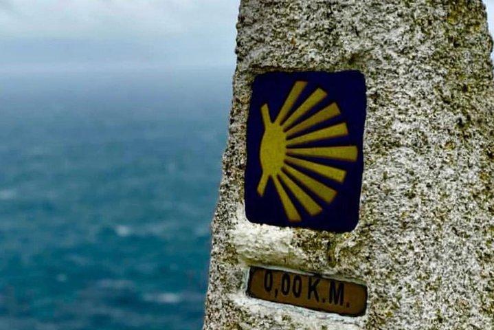 Privat rundtur Santiago de Compostela & Viana do Castelo från Porto