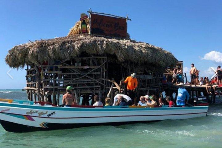 Visite privée de la côte sud au départ de Montego Bay