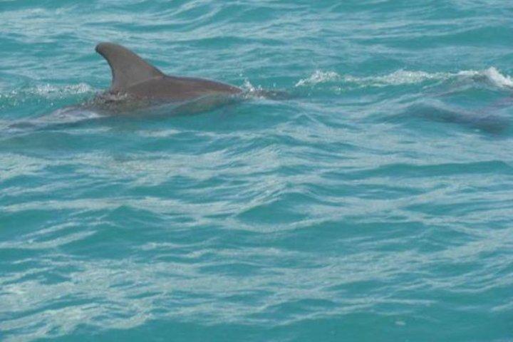 Visite privée de la côte sud au départ de Montego Bay
