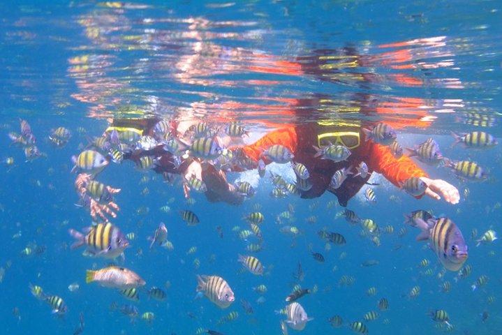 Halvdagstur till Koh Samui Snorkling & avkoppling
