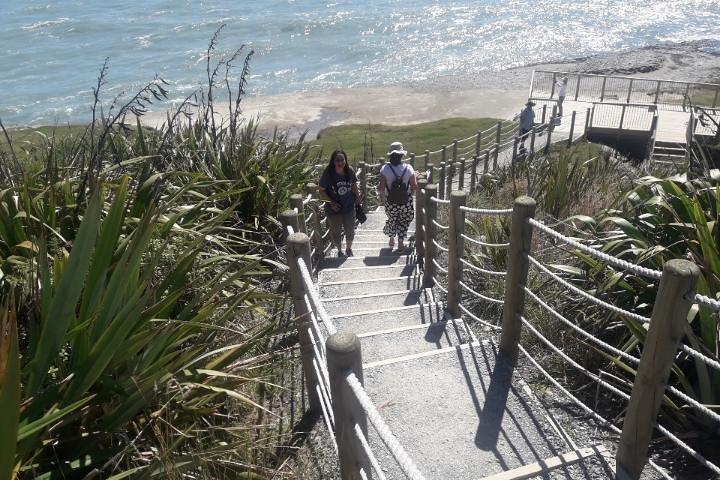 Tour panoramique de Punakaiki Blow Holes & Pancake Rocks