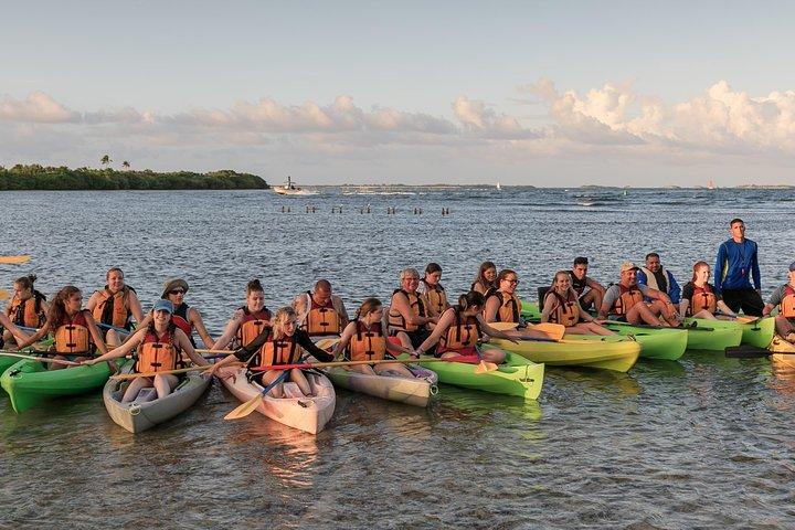 Bio Bay Night Kayaking com transporte da área de San Juan