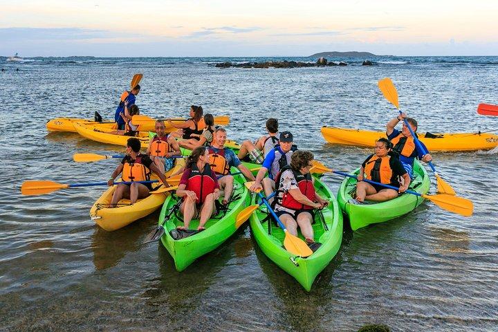 Bio Bay Night Kayaking com transporte da área de San Juan