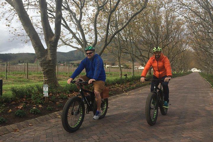 Excursão de vinho de bicicleta elétrica em Stellenbosch (meio dia)