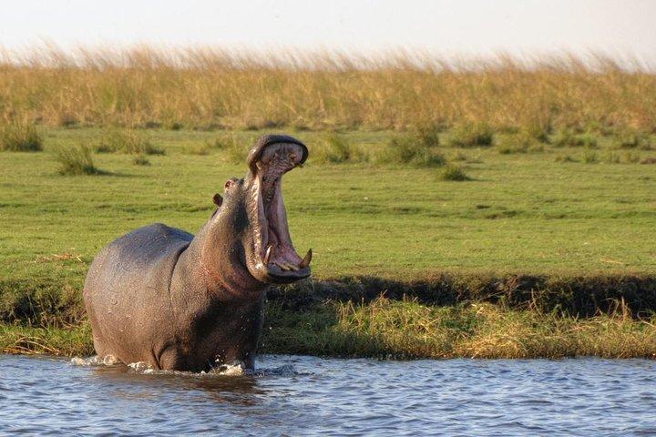 5 Tage Victoria Falls und Chobe National Park Luxus Tour