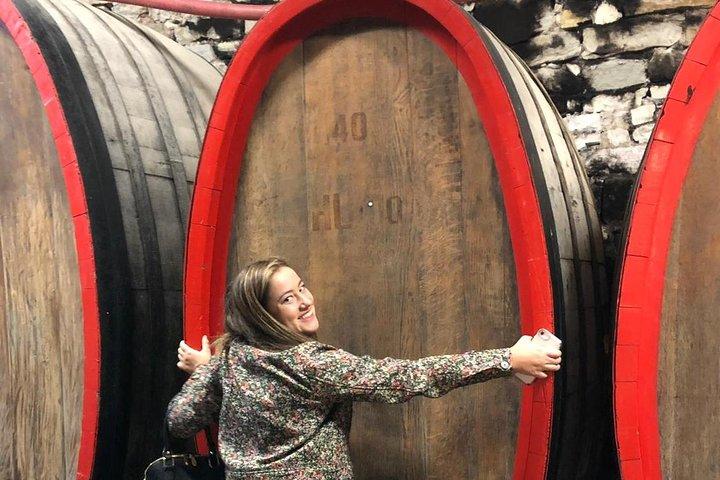 Cata de vinos en grupos pequeños en la Toscana con visita a los viñedos