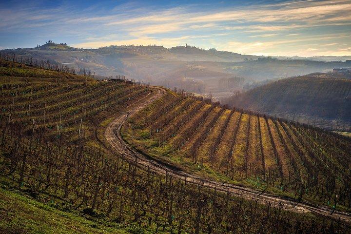 Privat Barolo / Barbaresco - Piemonte vinturer och provningar