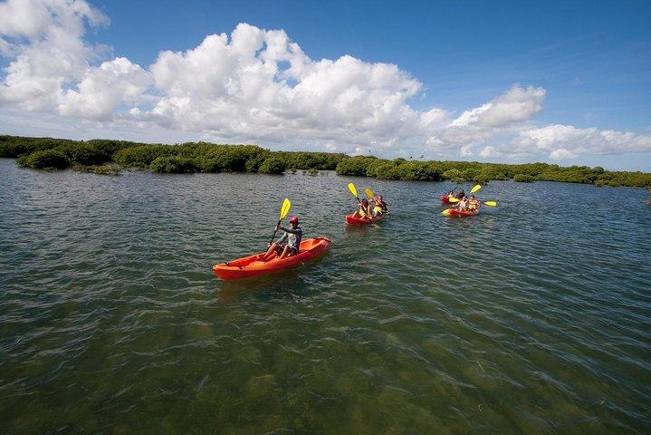 Antigua Zipline & Kayaking Combo von St. John's