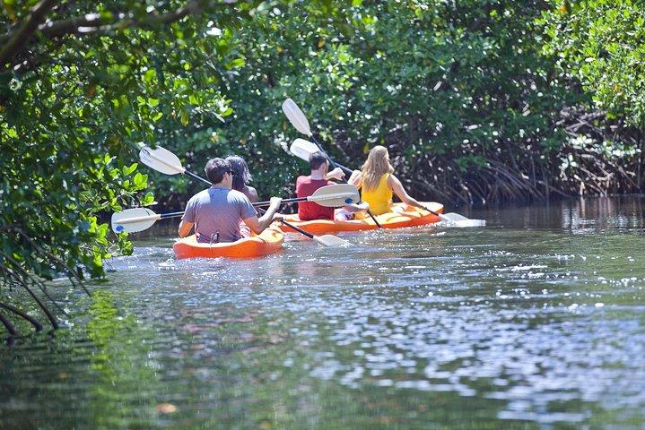 Antigua Zipline & Kayaking Combo von St. John's