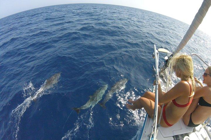 Flounder Yacht Sailing Tours