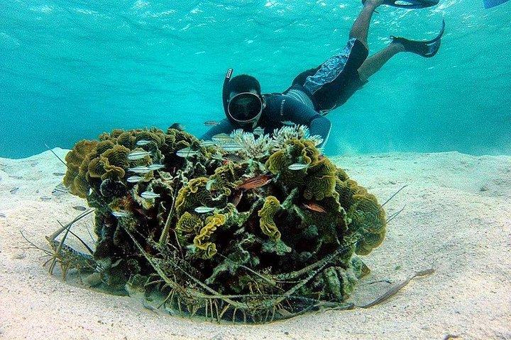 Roatan Shore Exkursion - Das All-in-One-Roatan-Abenteuer
