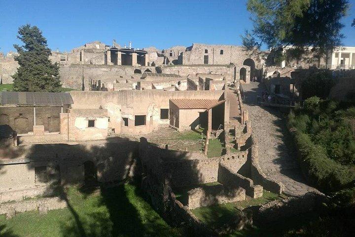 ポジターノ＆ポンペイガイド付きツアーへのローマのプライベート日帰り旅行