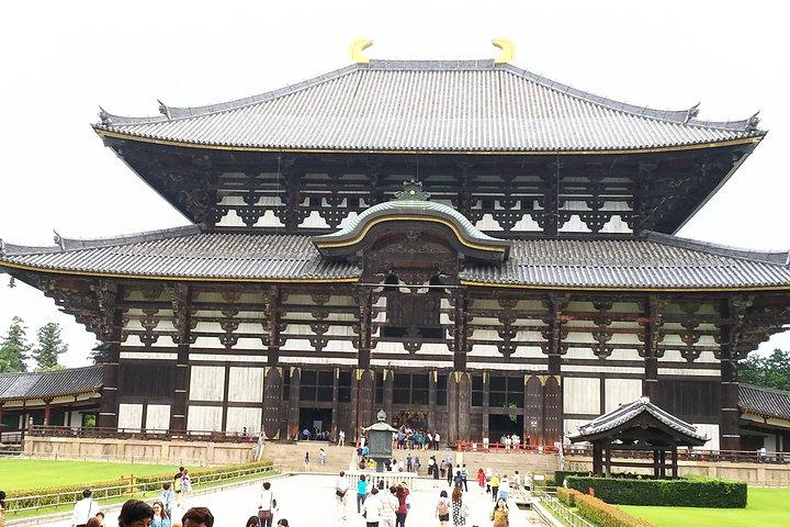 8 世紀の首都、奈良を巡る 1 日ウォーキング ツアー