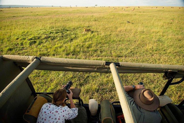 Safari Masai Mara de 2 jours
