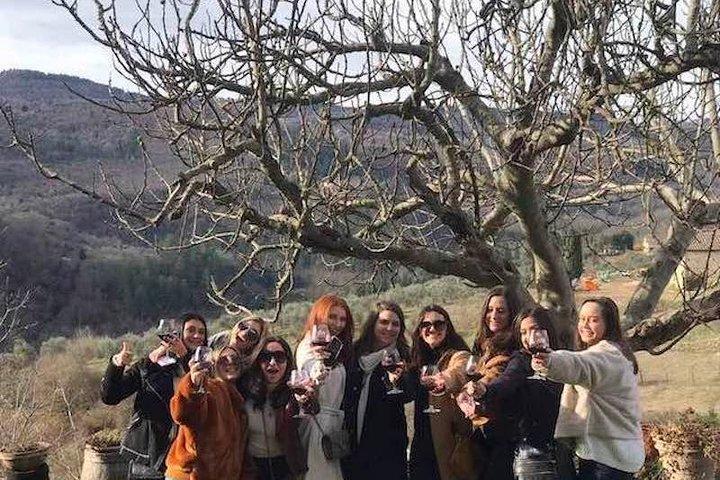 Small Group Wine Tasting in Tuscany with Vineyard Visit