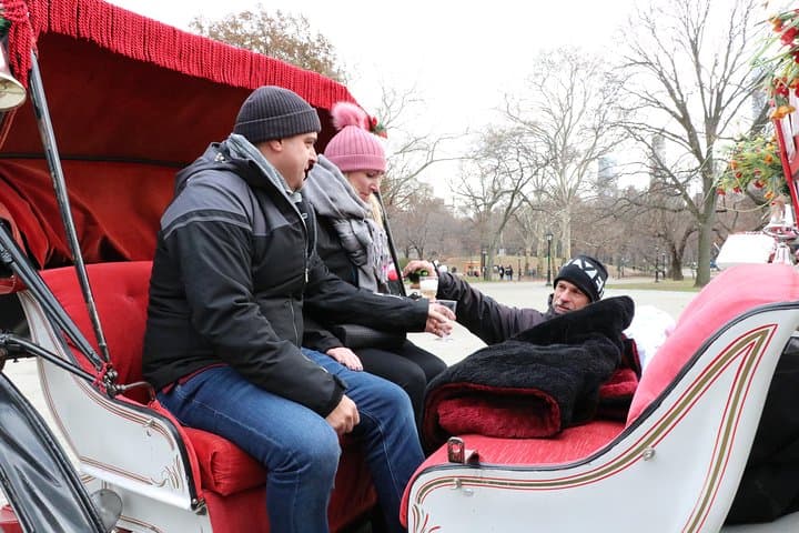Romantic Proposal Carriage Tour in Central Park