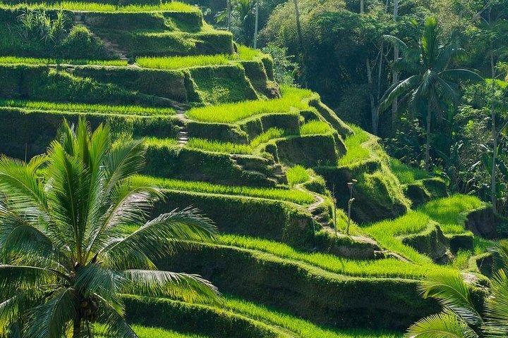 Excursão Terrestre Privada: Melhor Excursão Personalizada De Bali