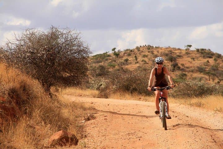 Day tour to Hell's Gate National park and optional Boat ride on lake Naivasha