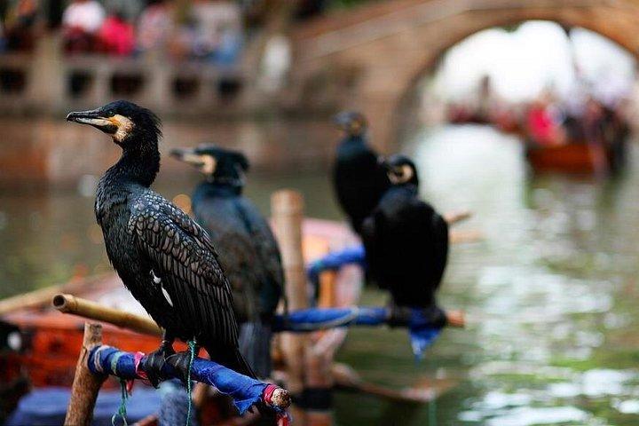 上海からのプライベート蘇州古都とトンリ水村の日帰り旅行