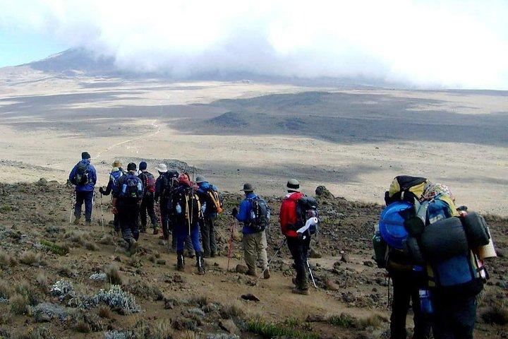 Marangu Route 6 dagar 5 nätter/Kilimanjaro klättring