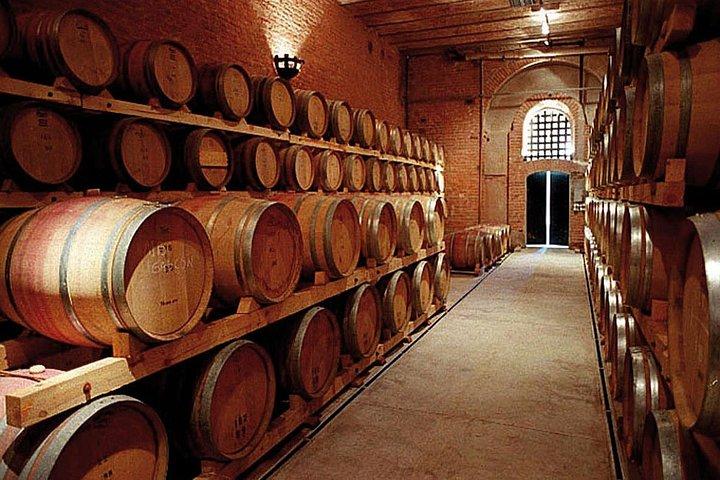 Route des vins de Mendoza Une excursion privée d'une journée complète