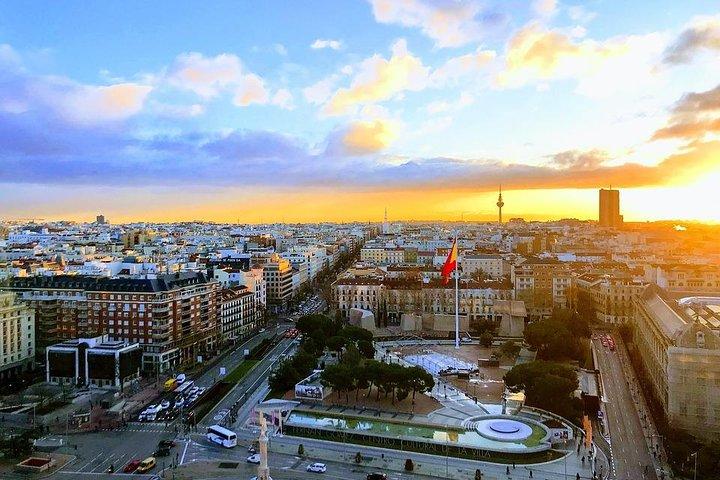 Tour privado de 8 horas por Madrid con conductor, guía con recogida