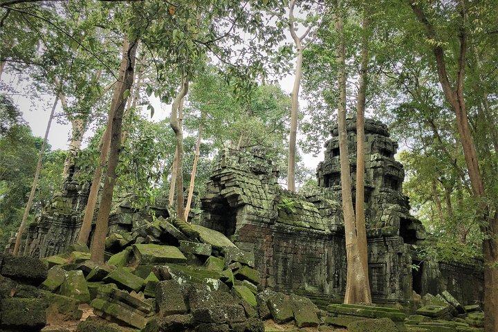 Excursion privée d'une journée complète à Angkor Small par Lexus