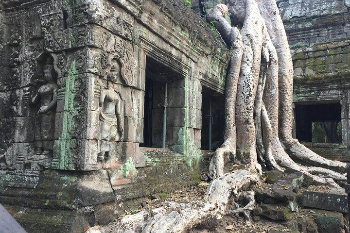 Excursion privée d'une journée complète à Angkor Small par Lexus