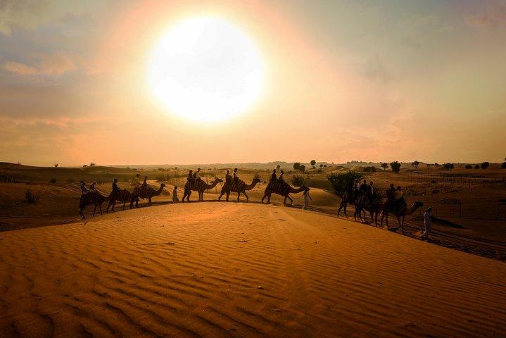 Dubai Sunset Camel Trekking con cena barbecue