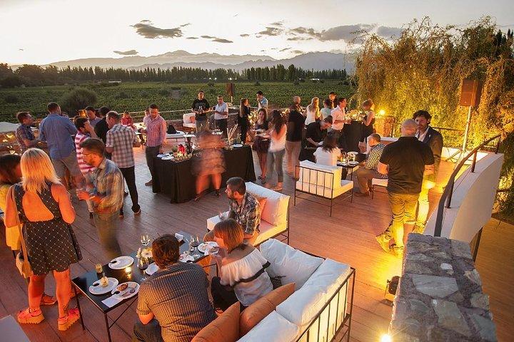 Mendoza Wine Route En heldags privat utflykt