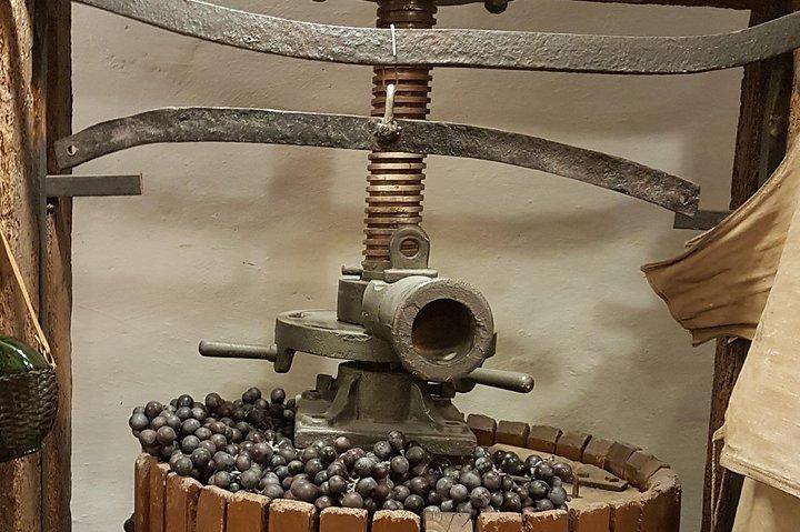 Campo romano: cata de vinos y comida, tour privado de un día