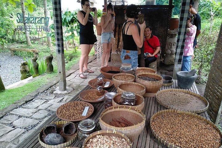 Solopgang Trekking med Ubud Tour