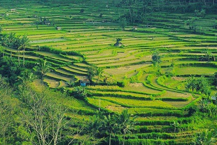 Bali Instagram: Tempeltour durch das Himmelstor