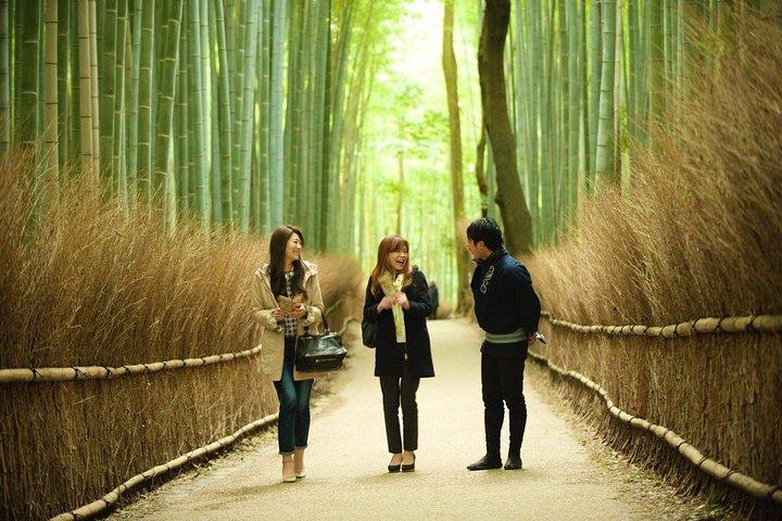 京都奥嵯峨野：人力車と徒歩ツアー